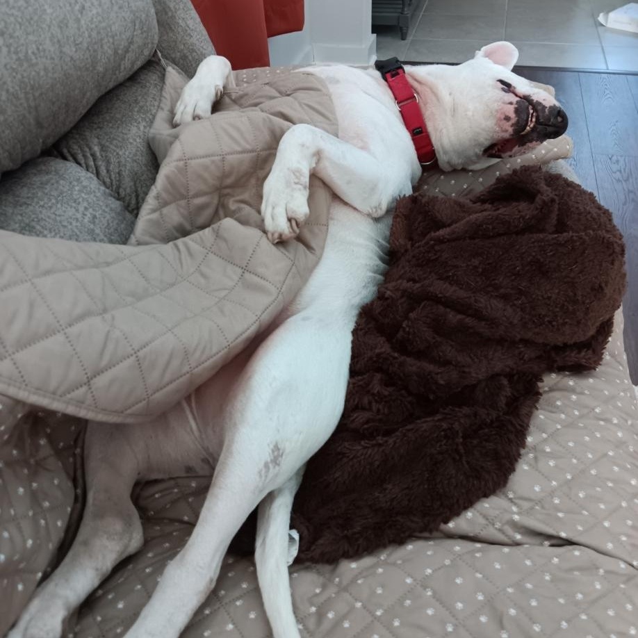 Gina — thumbnail 4