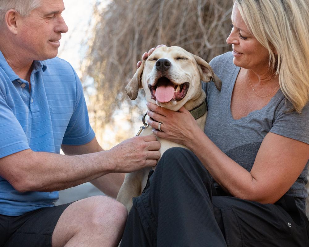 Enlarge Hank - affectionate puppy, a ADOPTABLE mixed breed in Boulder, CO image 5/6