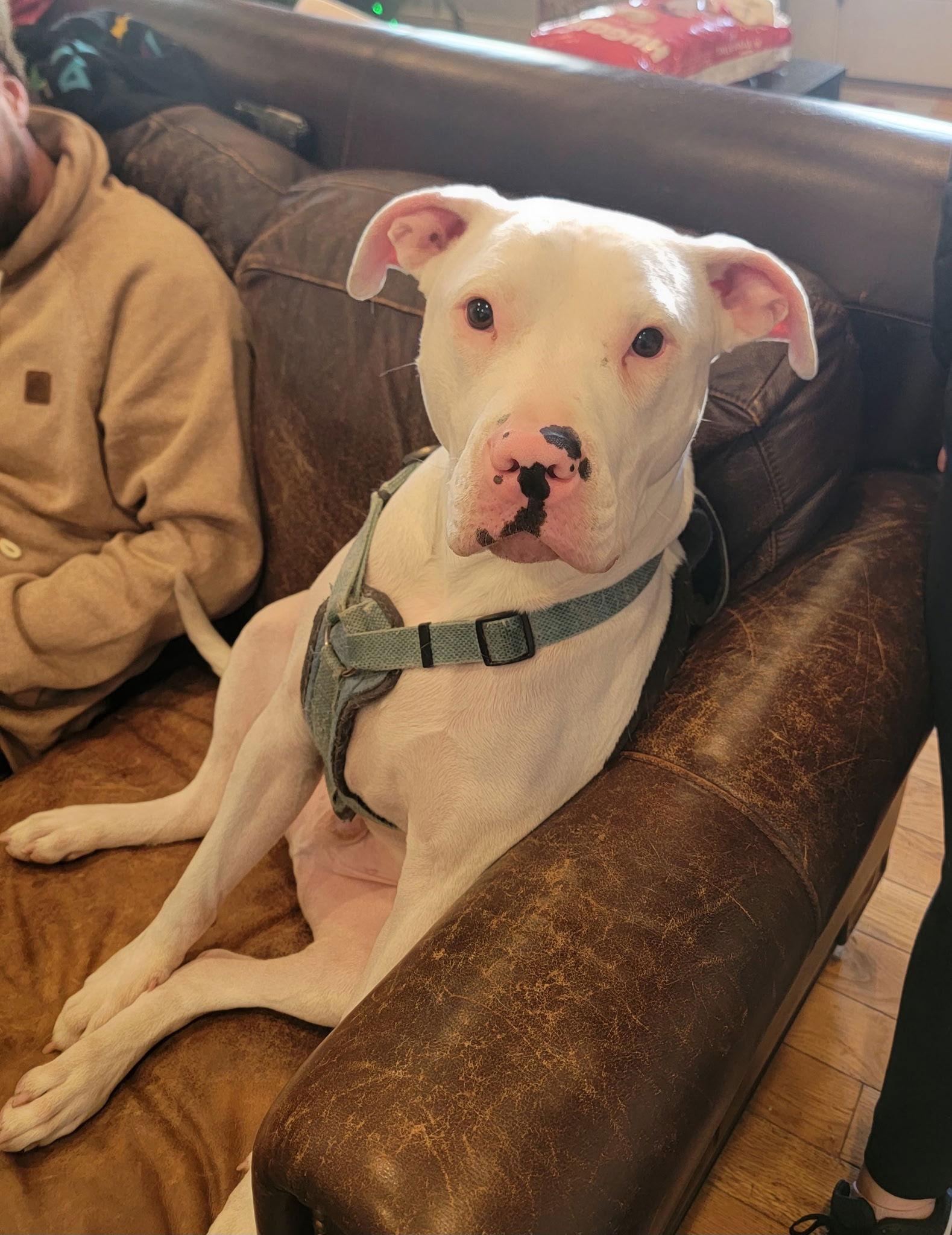 Buddy Aka Buddhabutters thumbnail 2