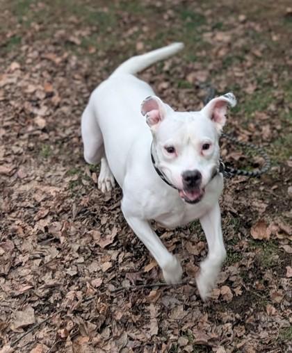 Snowflake thumbnail 2