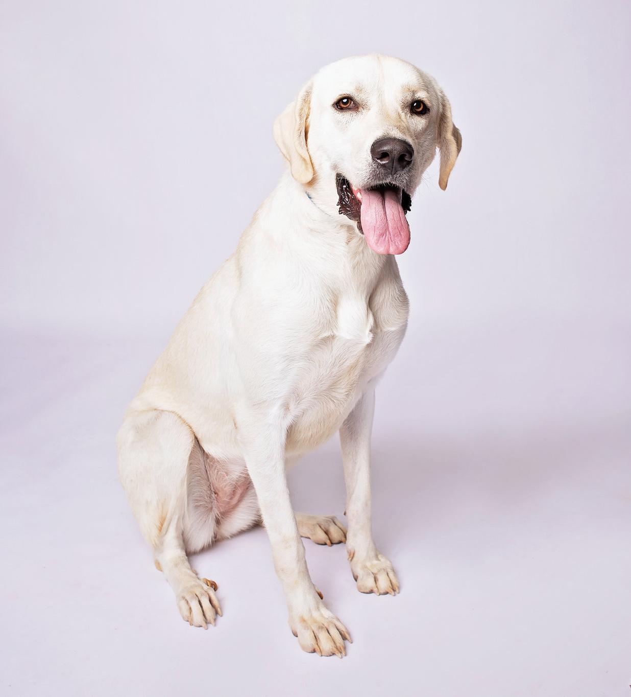 Ruby — thumbnail 4