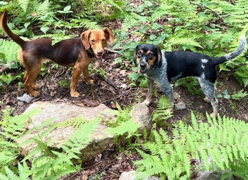 Poundcake and Lucy Charles