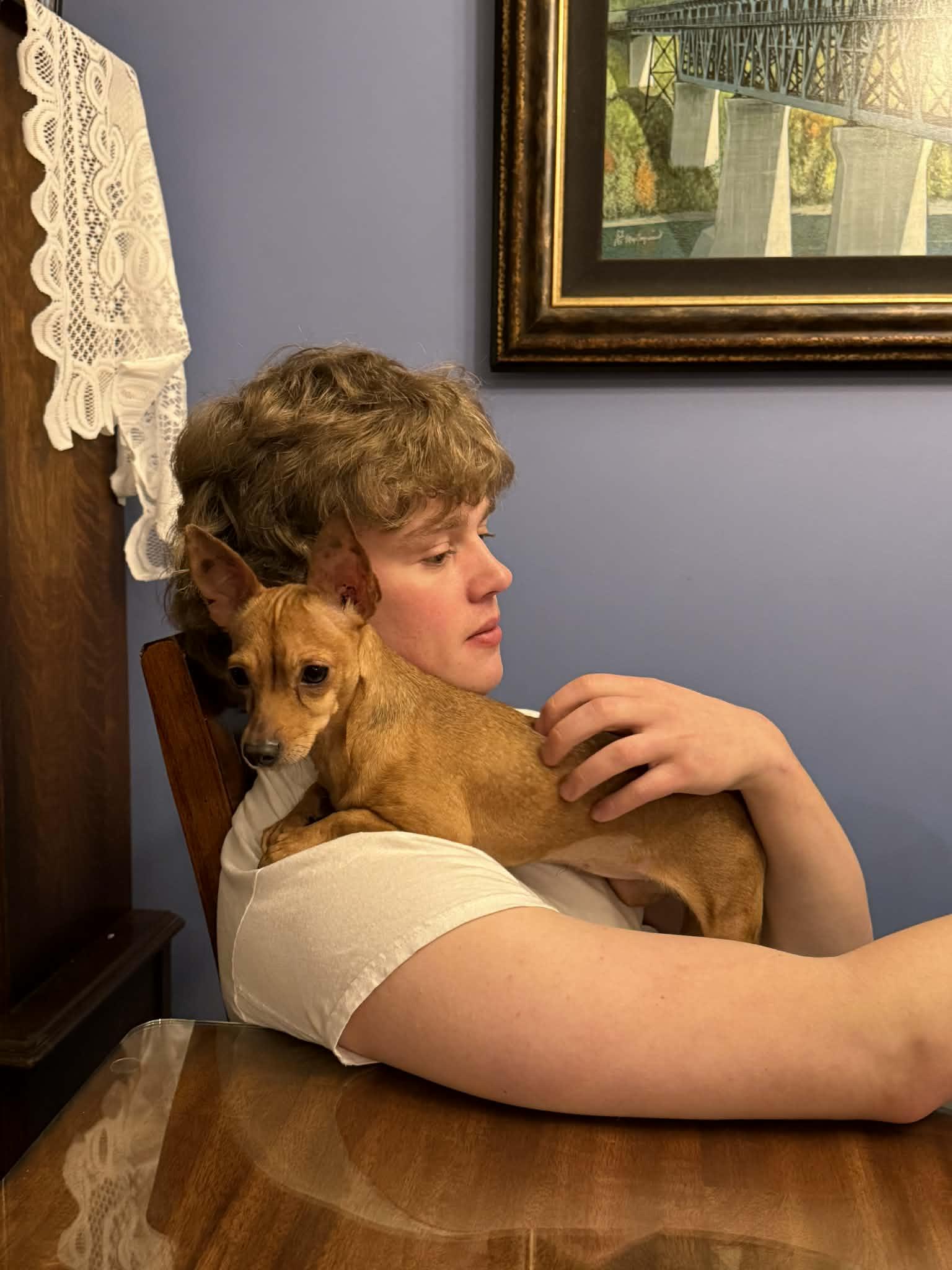 Enlarge Penny, a ADOPTABLE mixed breed in Didsbury, AB image 3/3