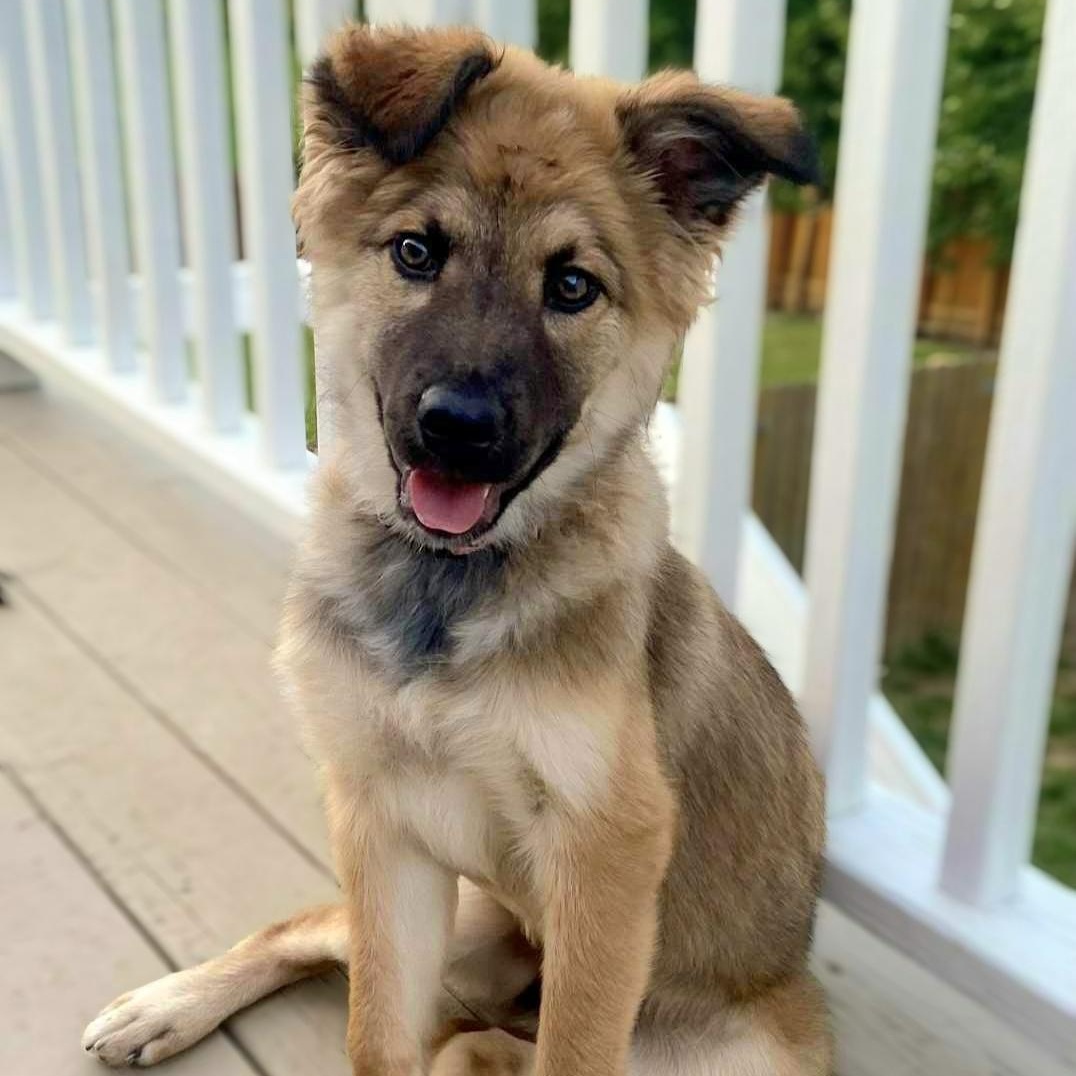 Coco
