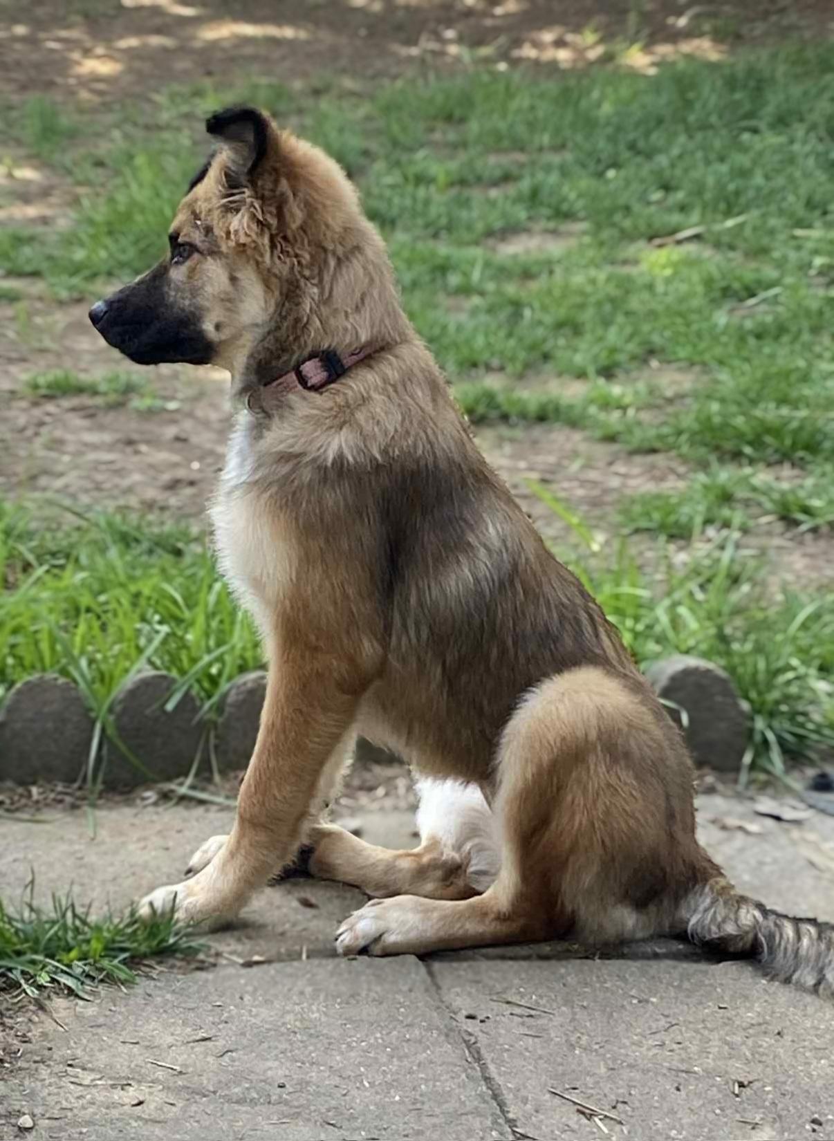 Coco