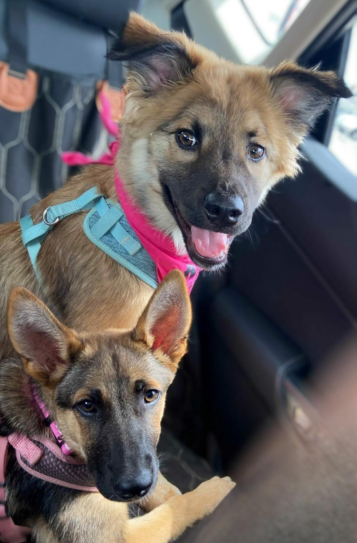 Coco