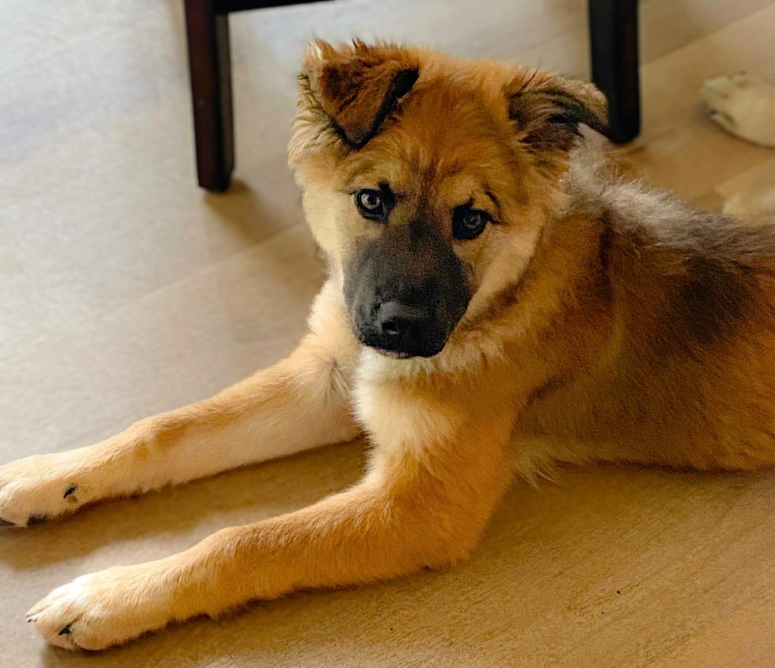 Coco photo 5
