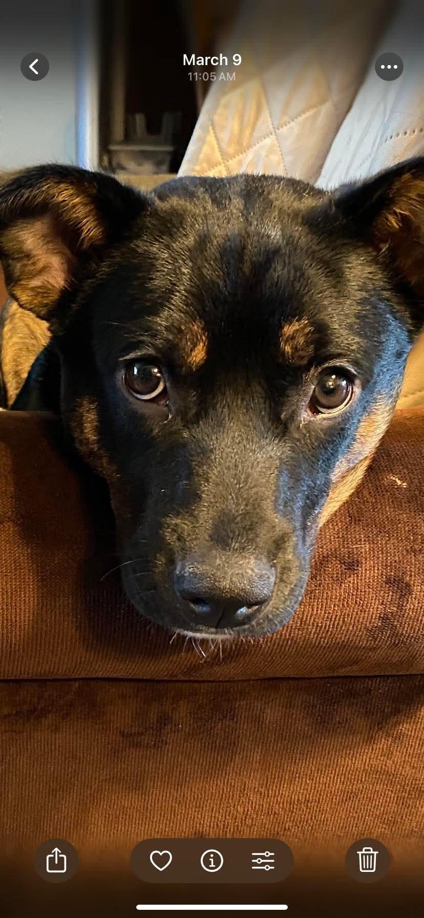 Bea