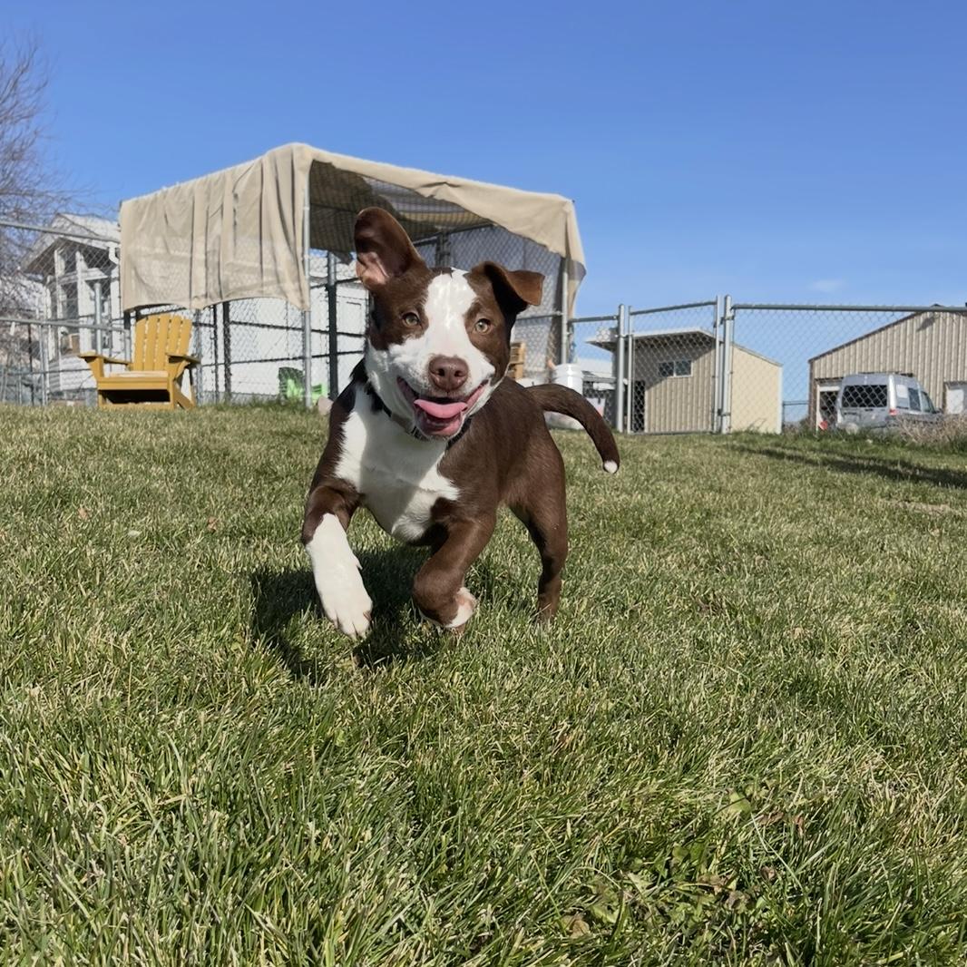 Violet — thumbnail 2