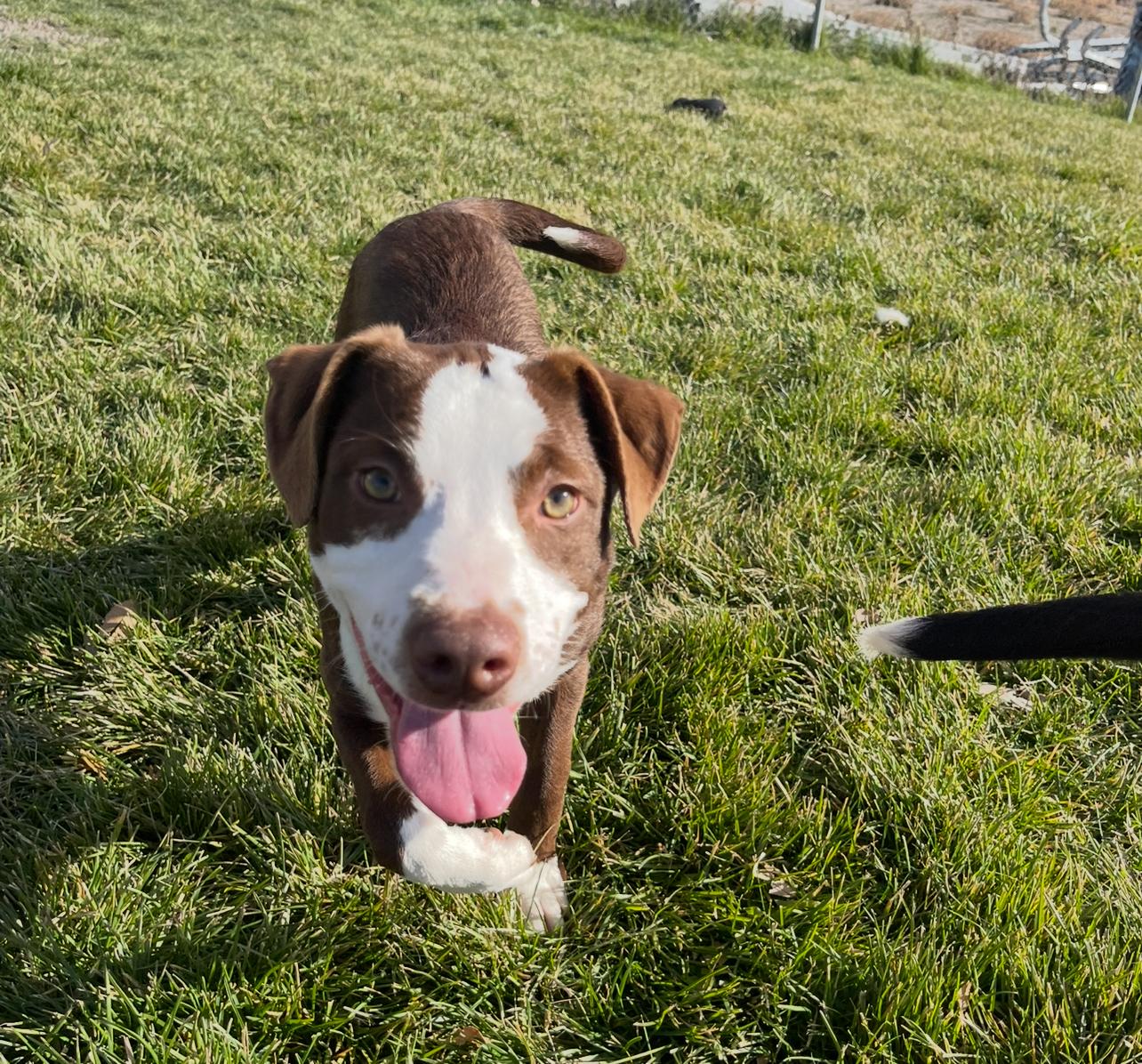 Violet — thumbnail 3