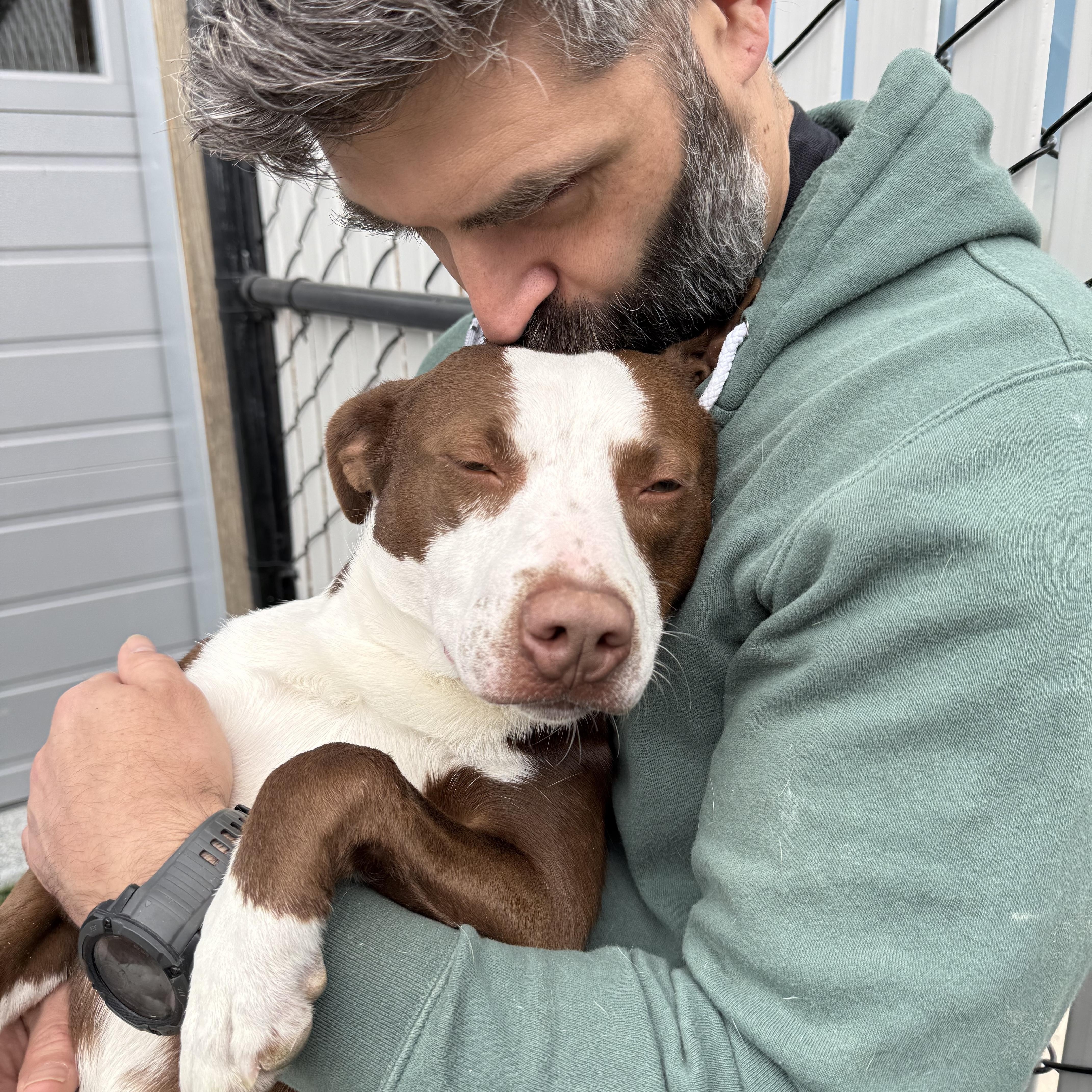 Enlarge Violet, a Adoptable mixed breed in Prineville, OR image 4/5