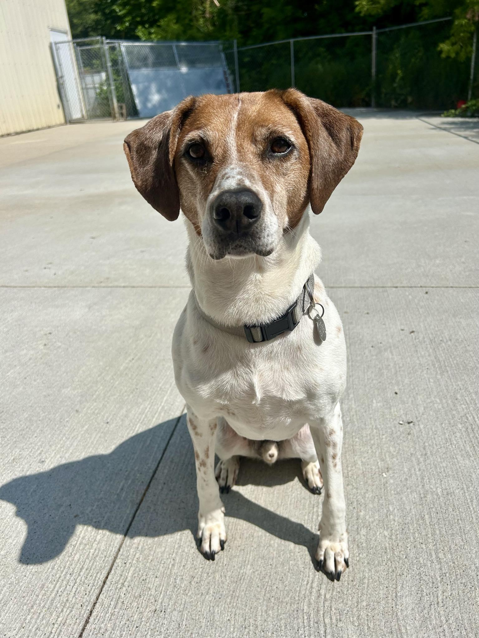 Zeke