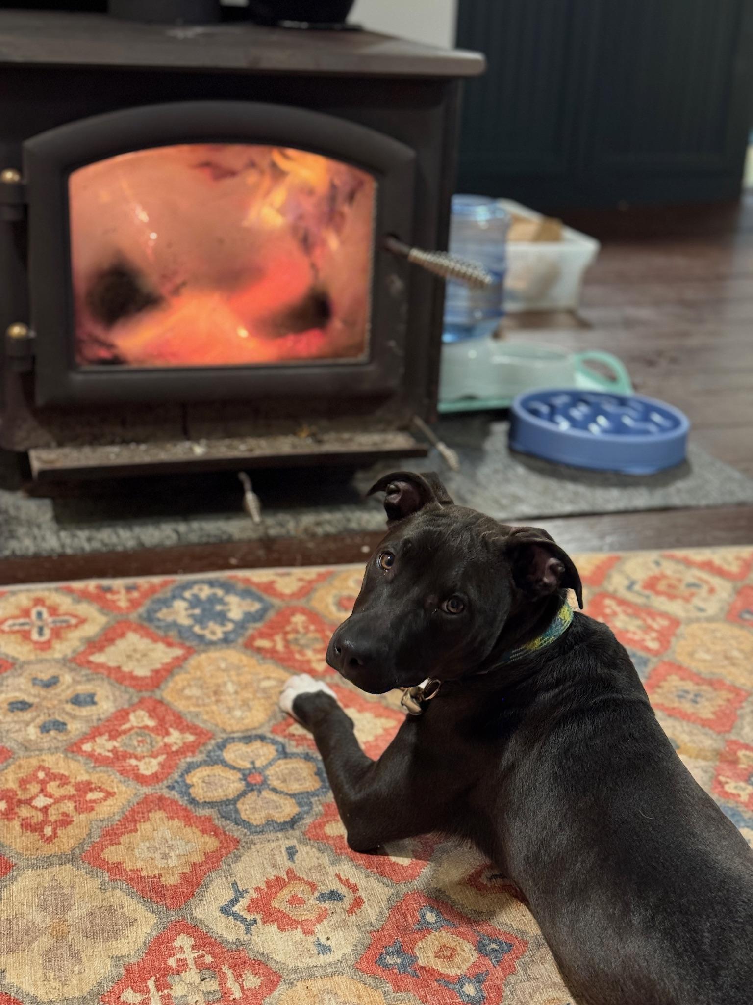 Elsie