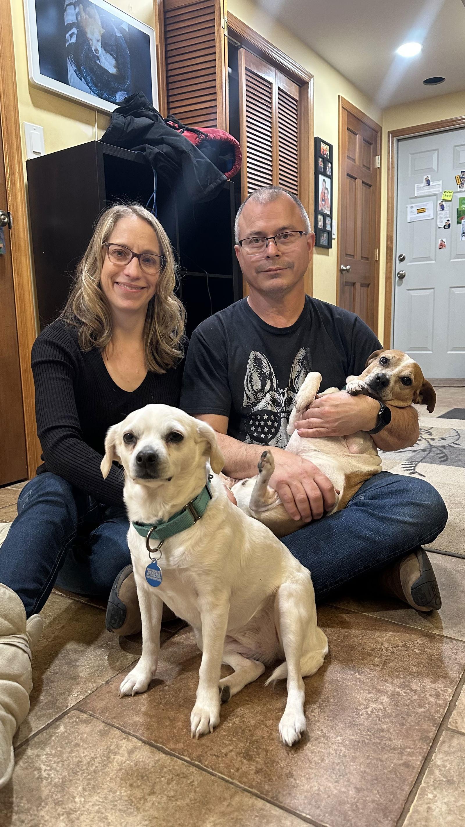 Enlarge Carolyn's "Mister George" Nickels TX, a Adopted mixed breed in Boonton, NJ image 3/3