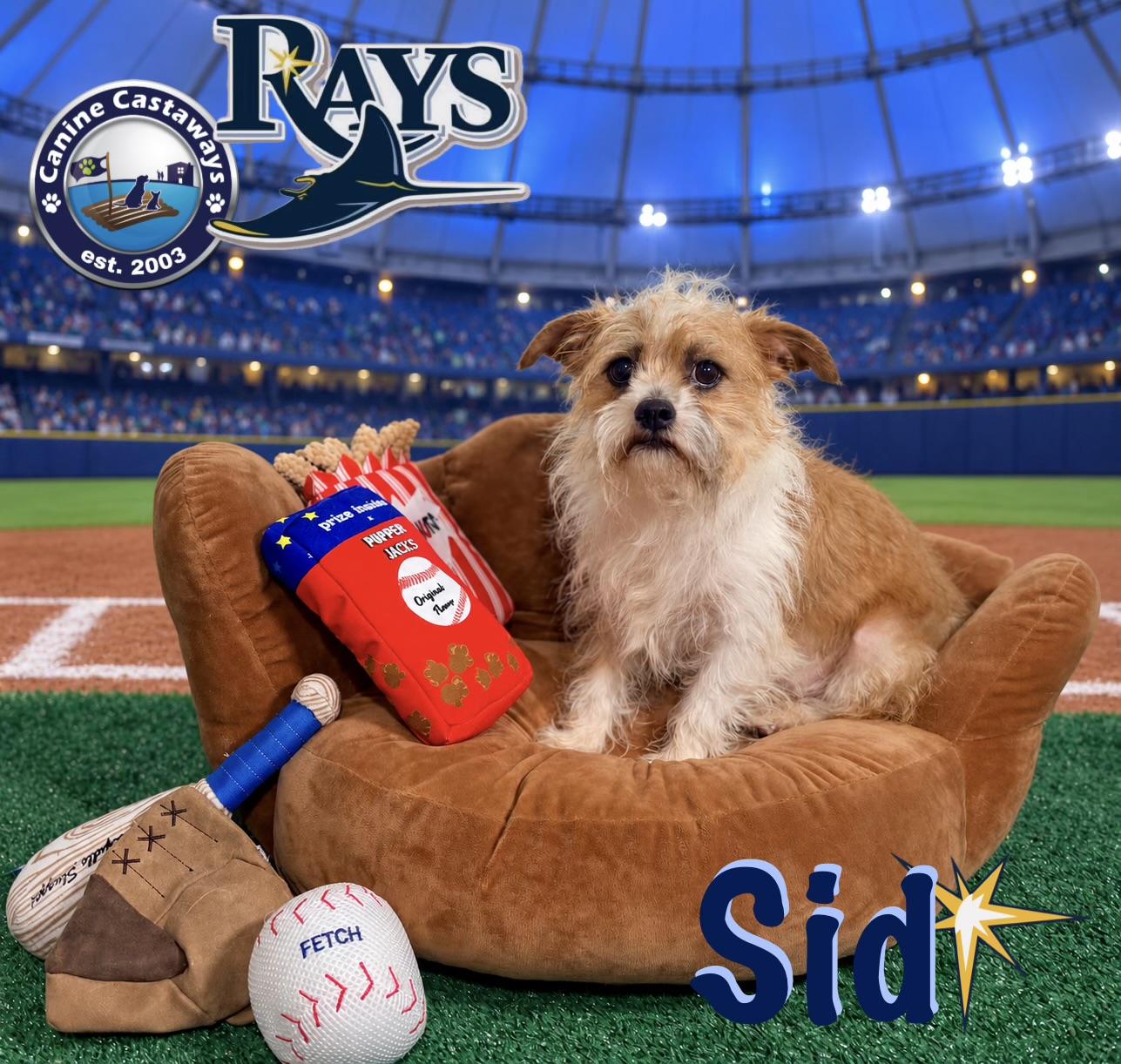 Enlarge Sid, a Adoptable mixed breed in Arcadia, FL image 5/6