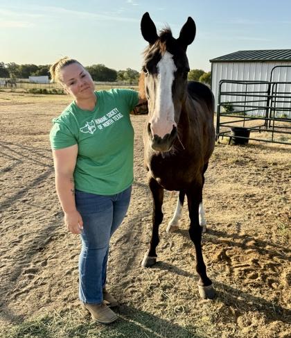 Enlarge Luna, a Adoptable mixed breed in Fort Worth, TX image 3/3