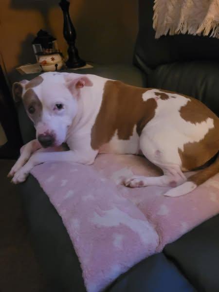 Precious, Senior Female unknown
