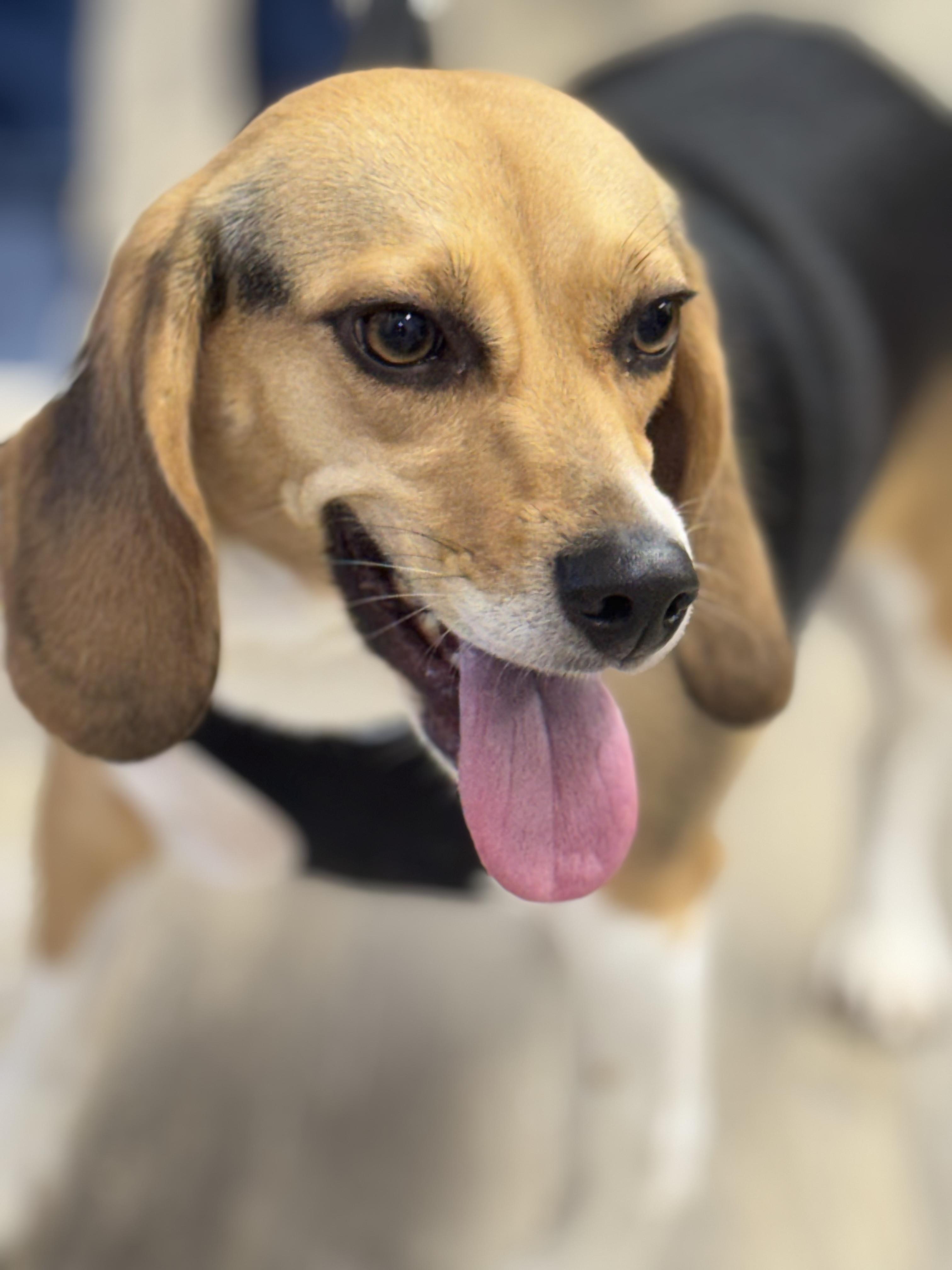 Zoey — thumbnail 3