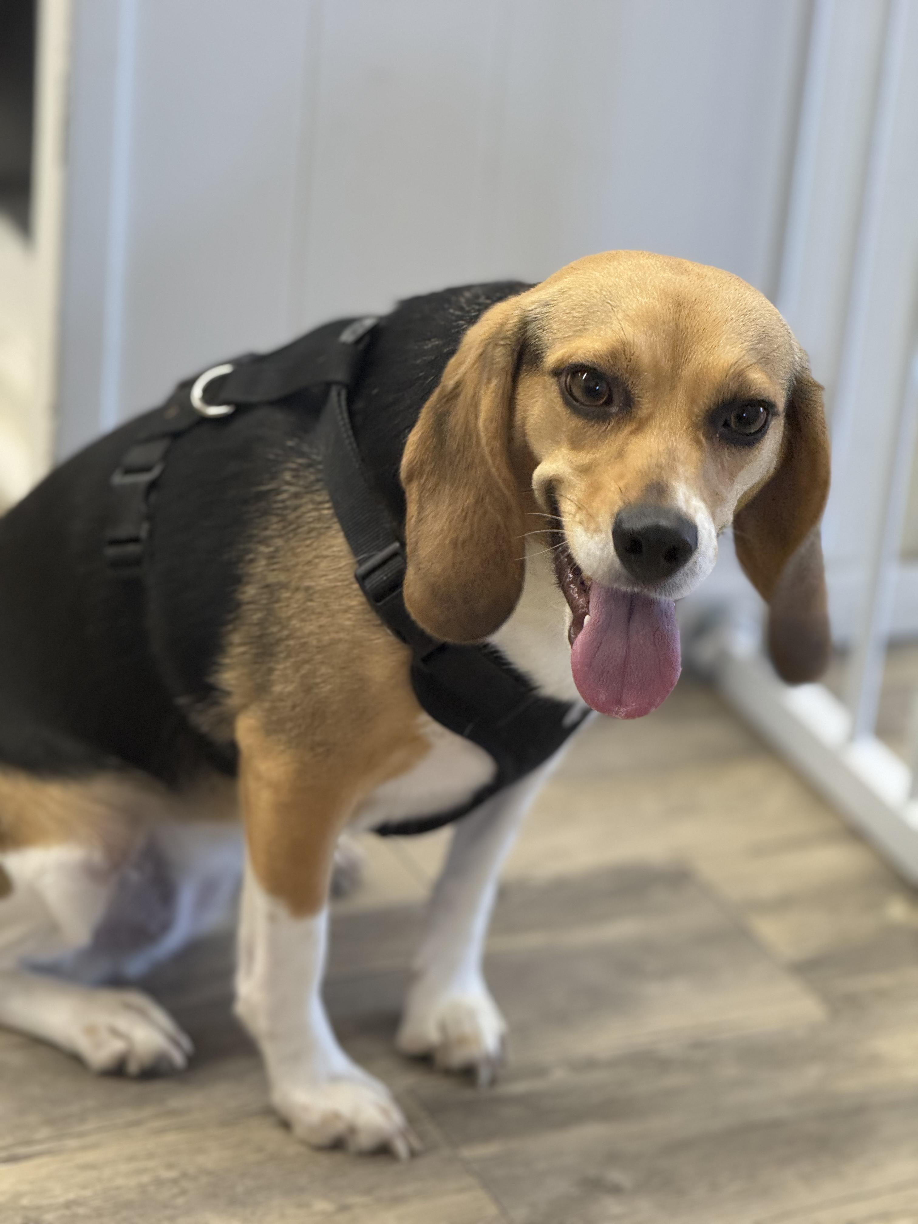 Zoey — thumbnail 5