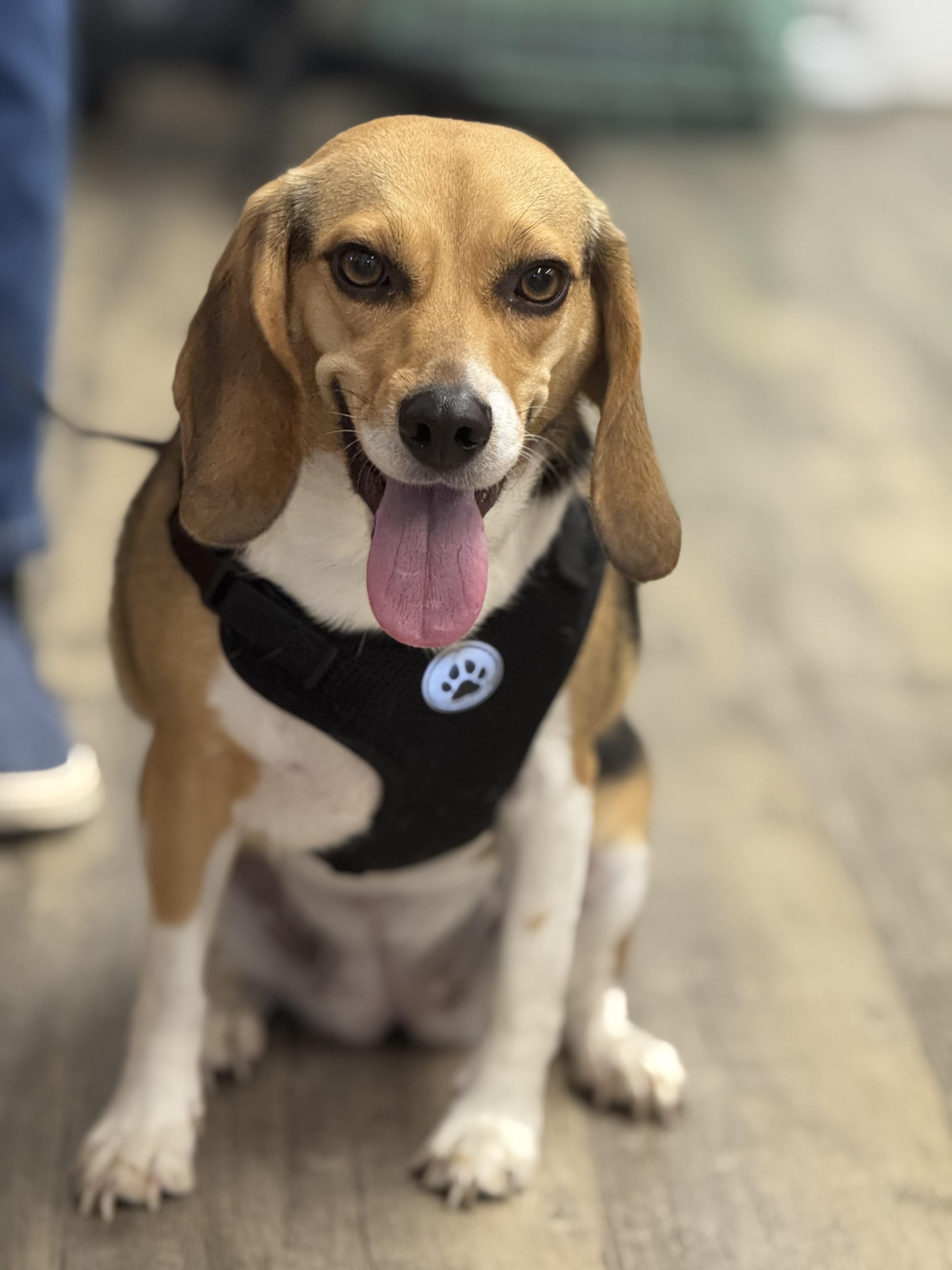 Zoey — thumbnail 6