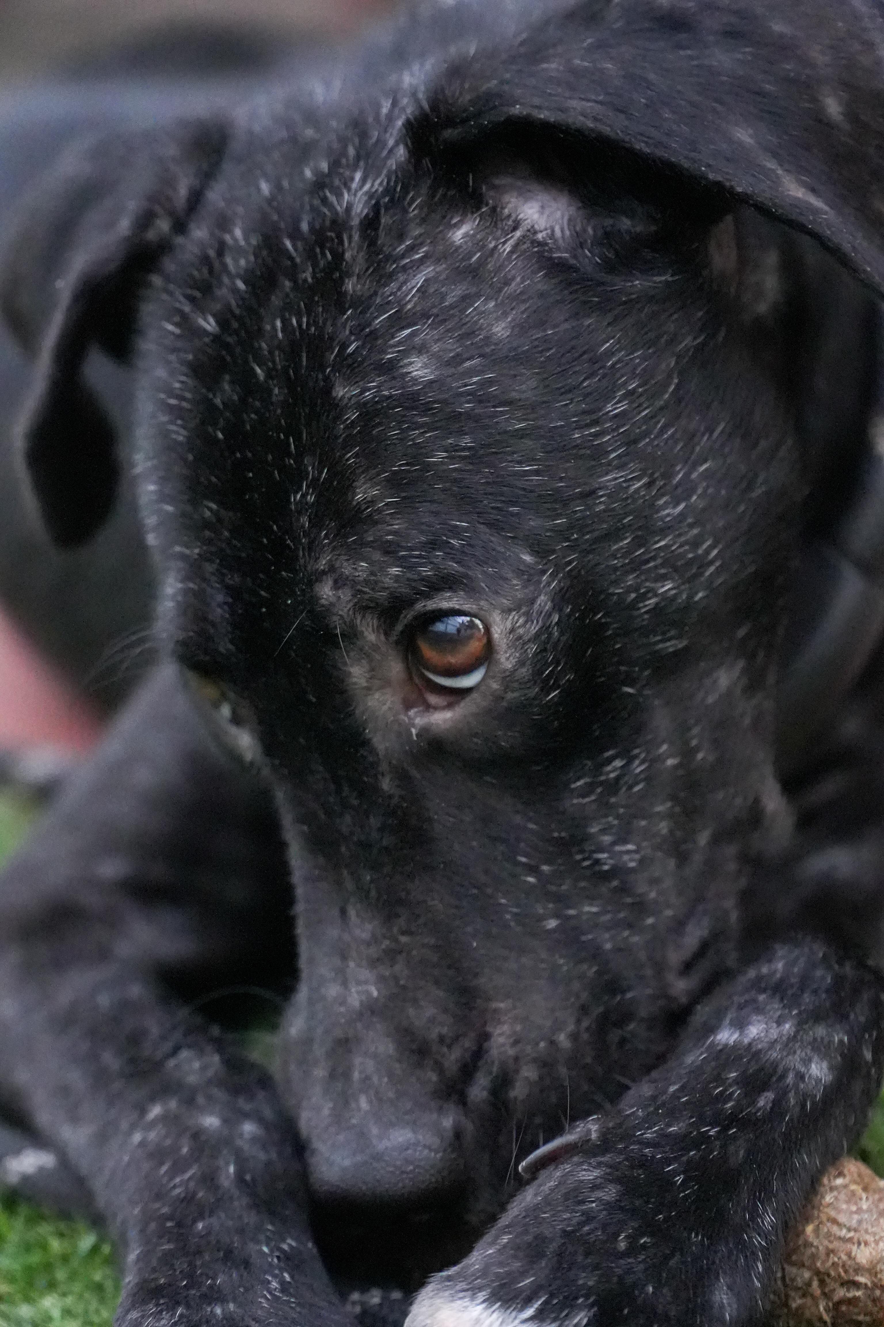 Goodie  The Soul thumbnail 6