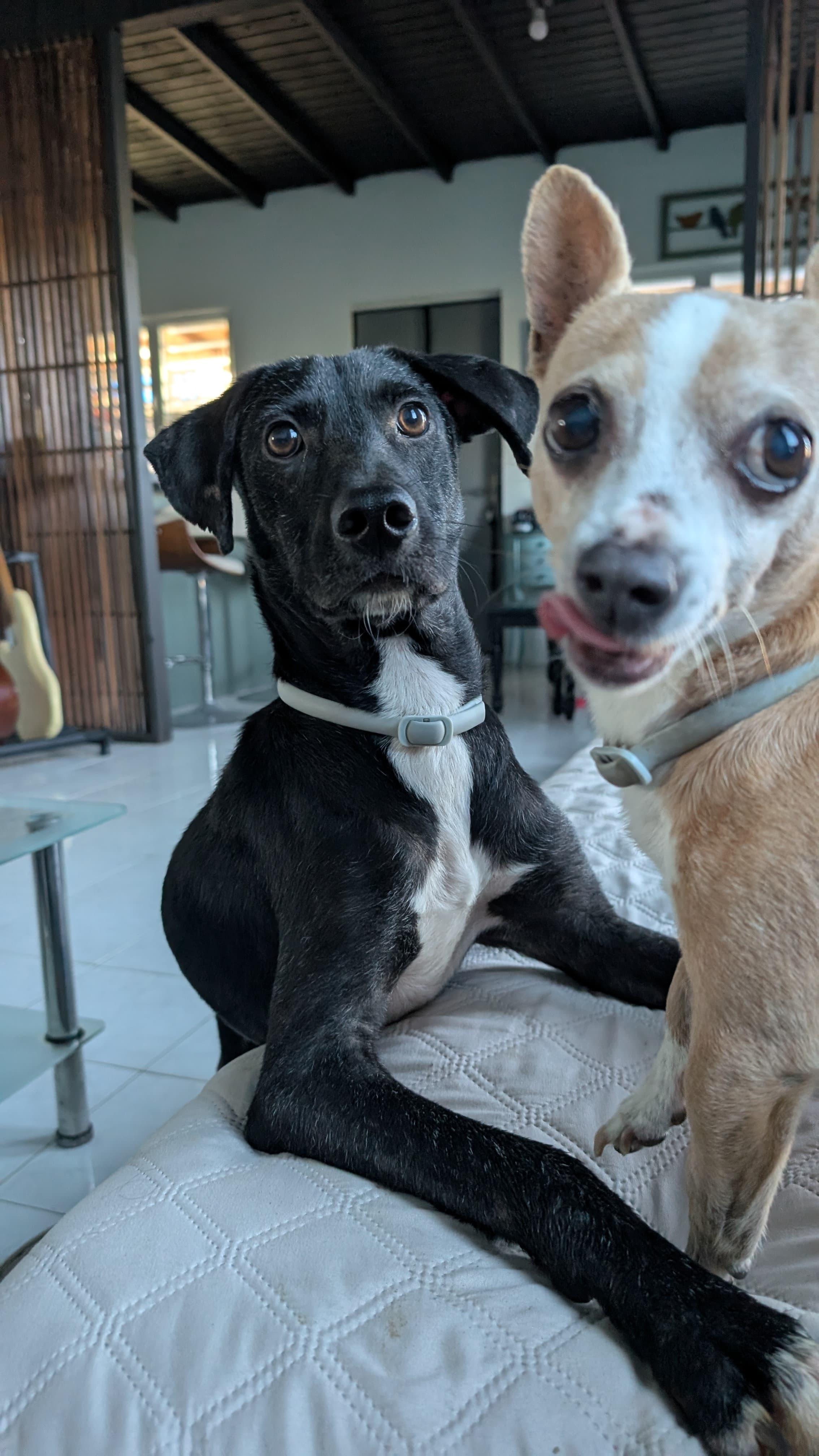 Goodie  The Soul thumbnail 3