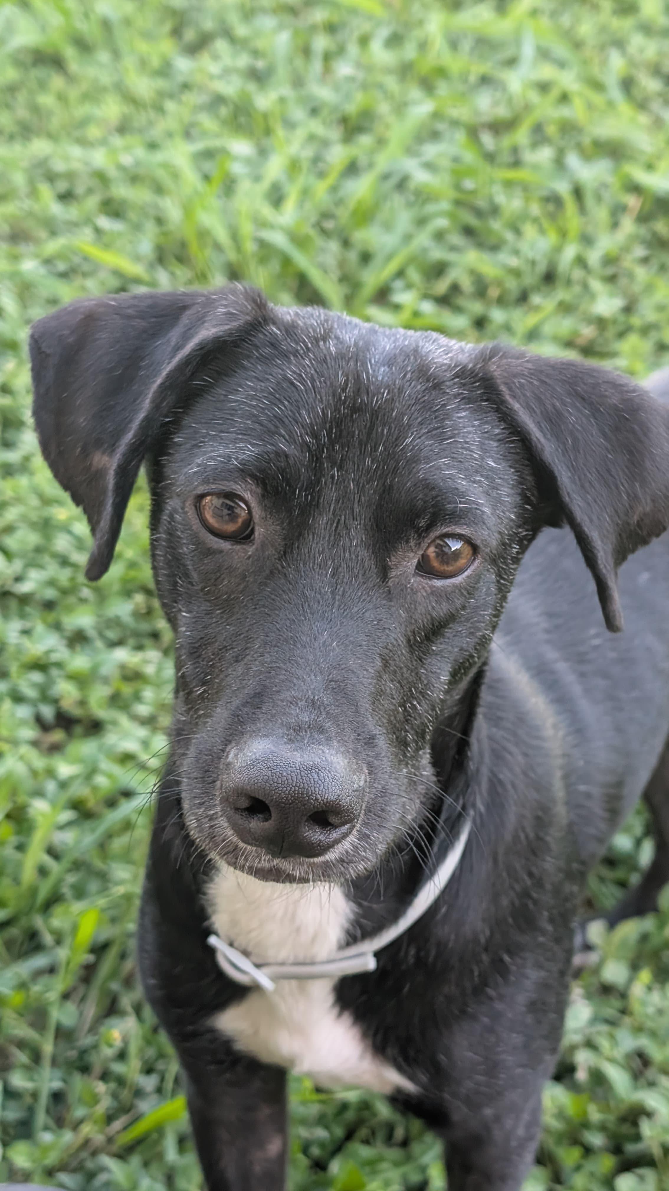 Goodie  The Soul thumbnail 4