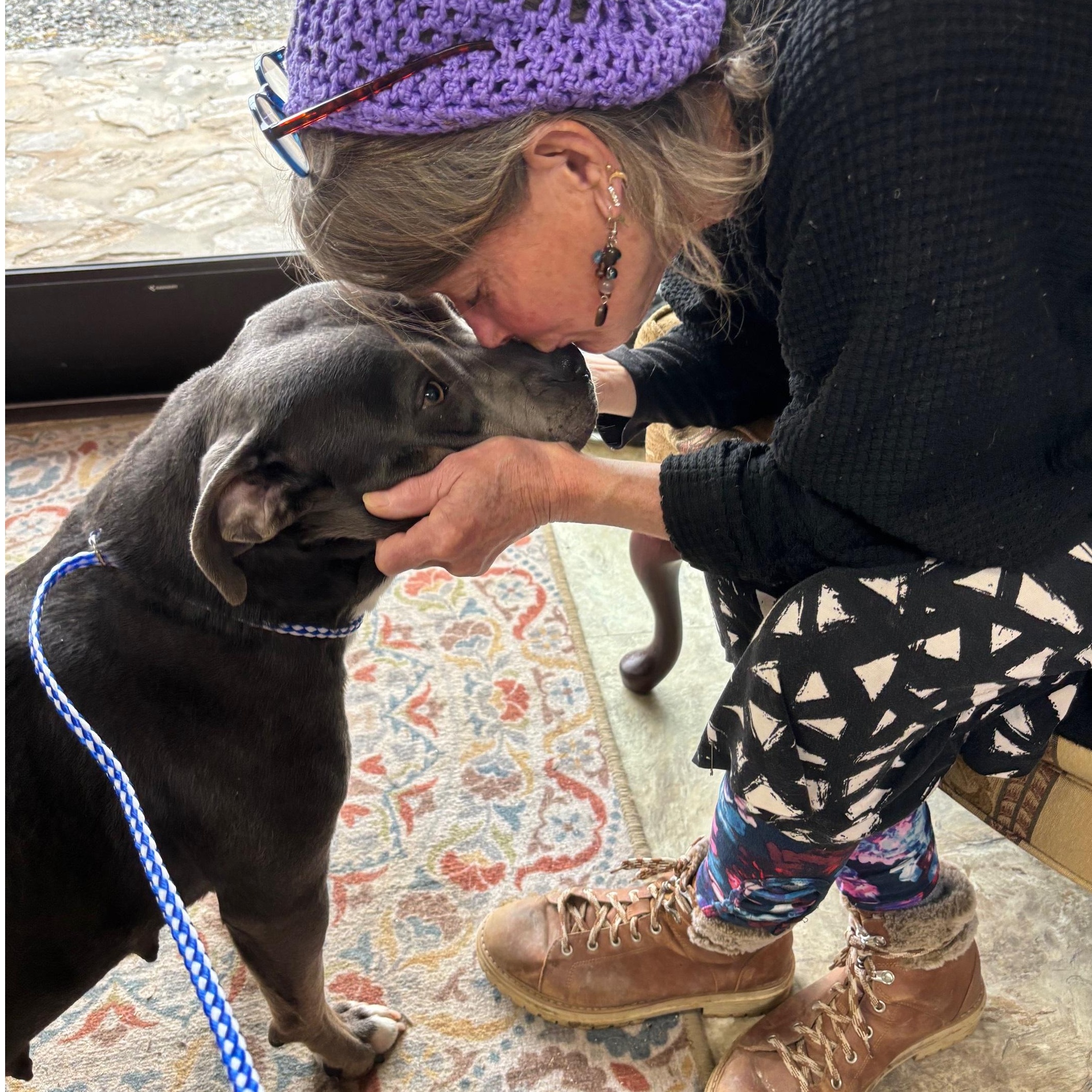 Hulu, a Adoptable mixed breed in Clarksville, VA image 3/6