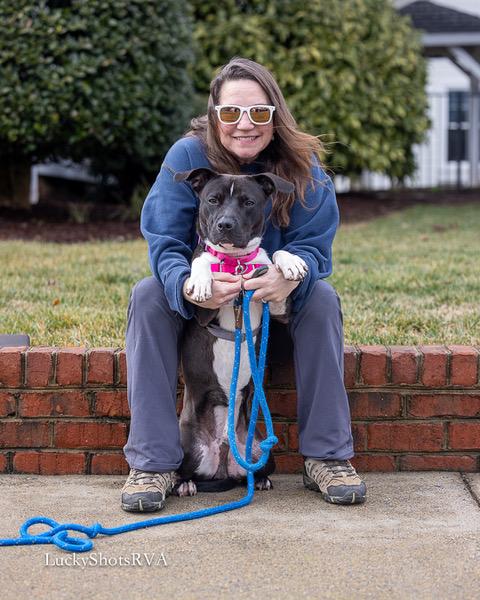 Diesel , a ADOPTABLE American Staffordshire Terrier in Powhatan, VA image 2/3