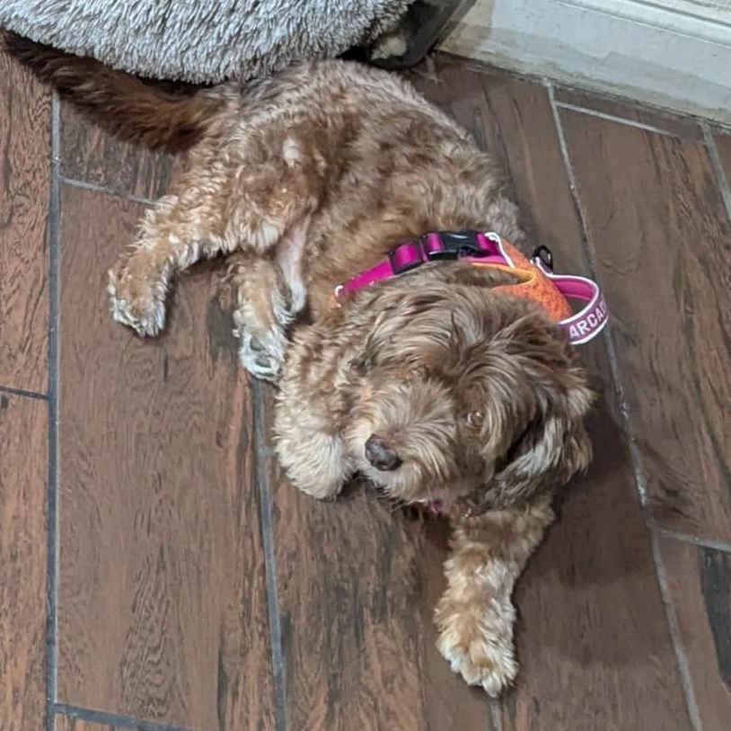 Rey Jones thumbnail 4