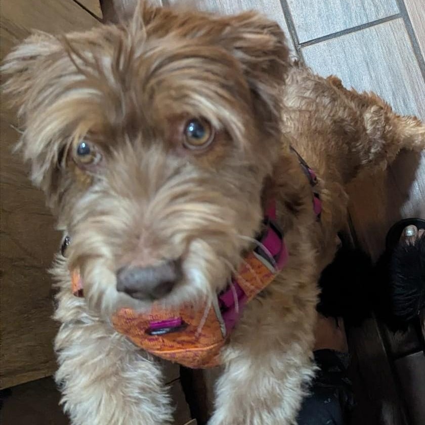 Rey Jones thumbnail 2