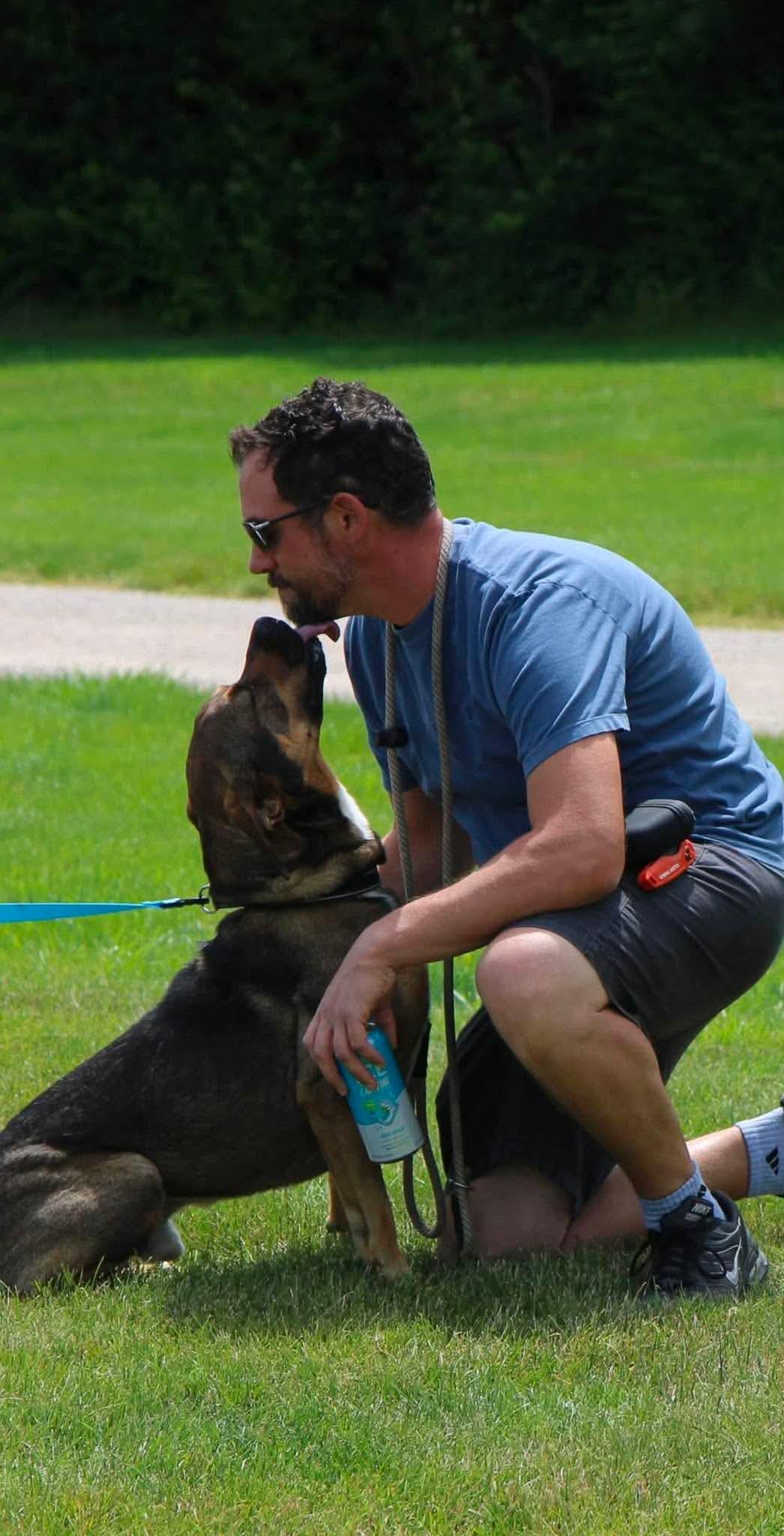 Jag, a Adoptable mixed breed in Plain City, OH image 4/5