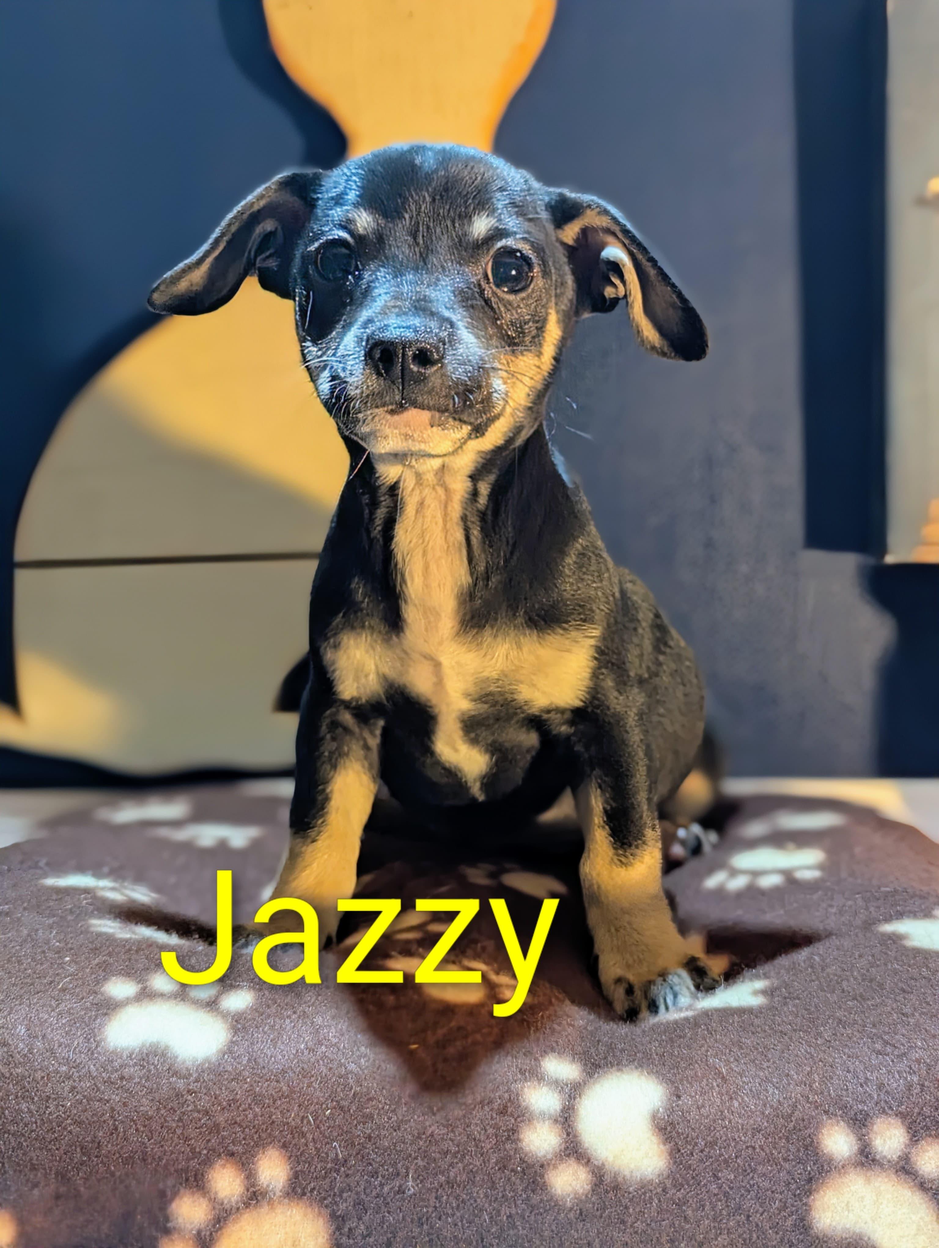 Jazzy