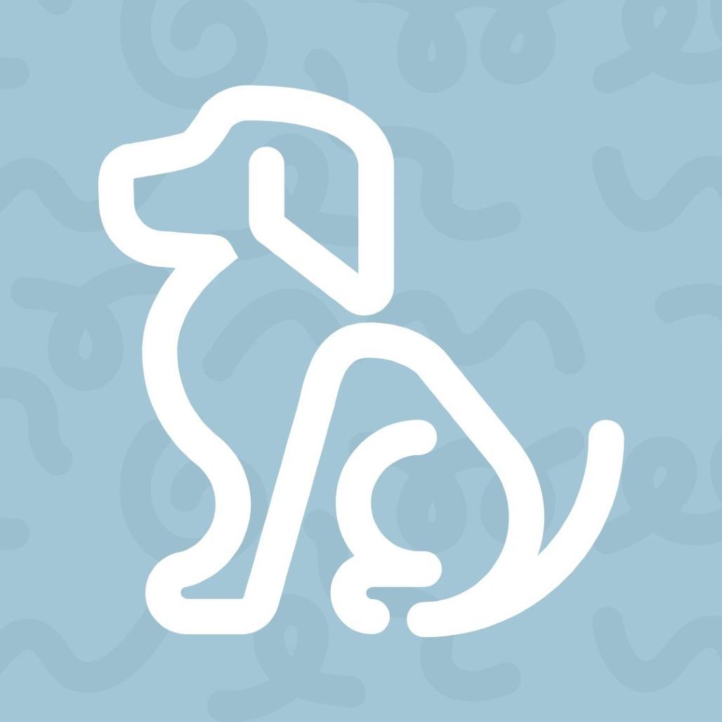 Enlarge Jacklyn, a Adoptable mixed breed in Reno, NV image 1/1