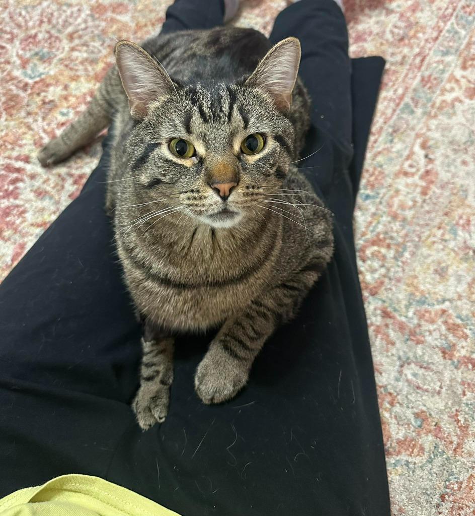 S'mores — thumbnail 4