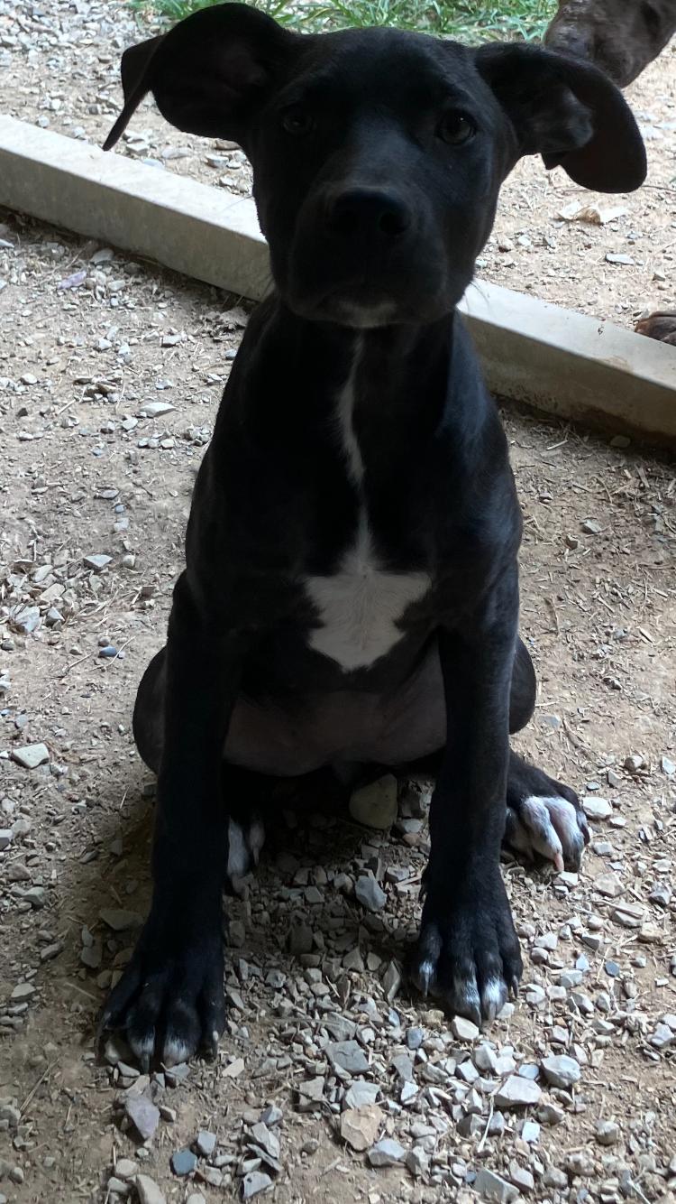 Willow - Come Meet Me