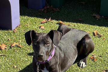 Willow - Come Meet Me