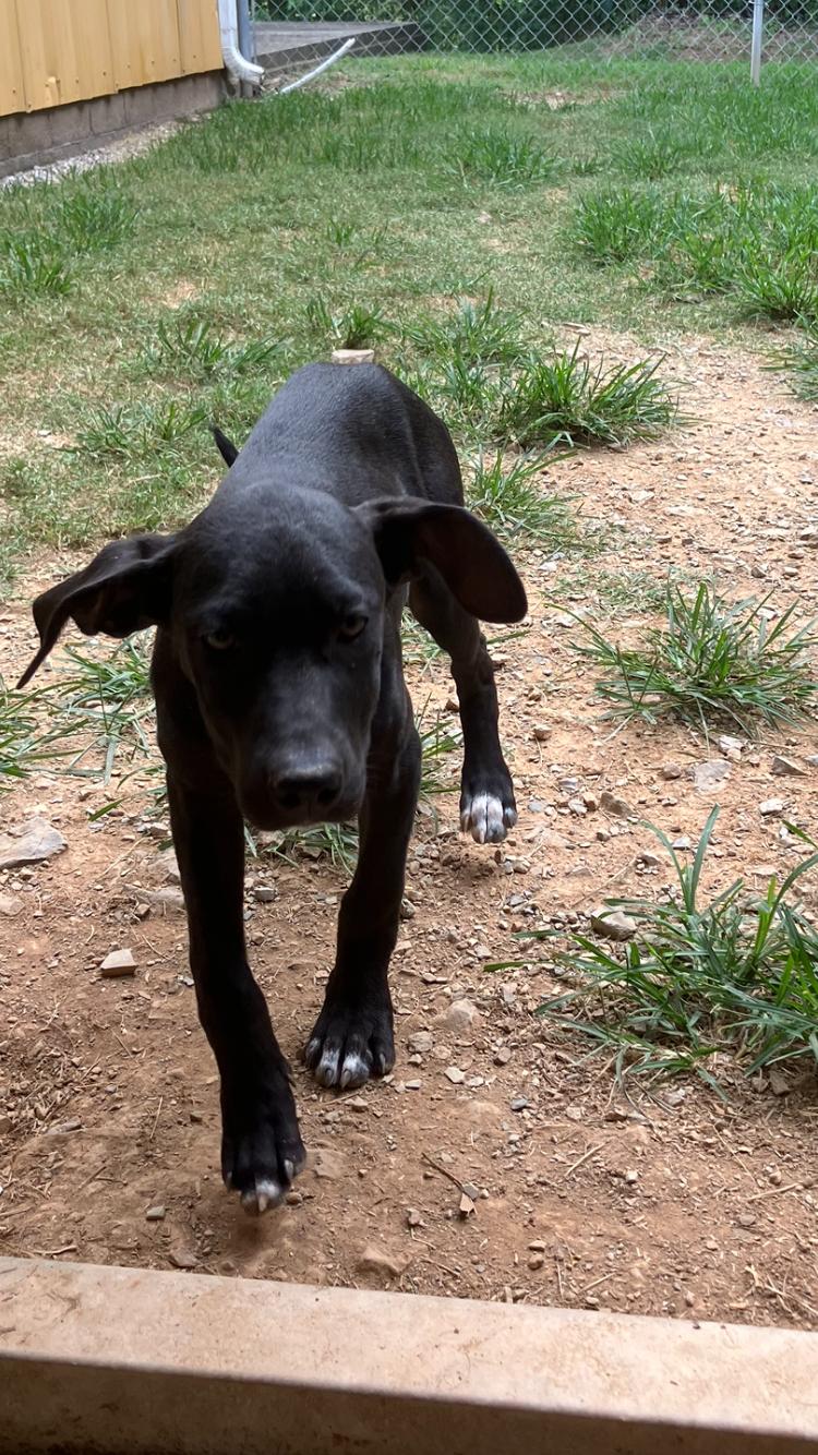 Willow - Come Meet Me