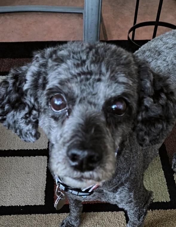 Pepper thumbnail 3