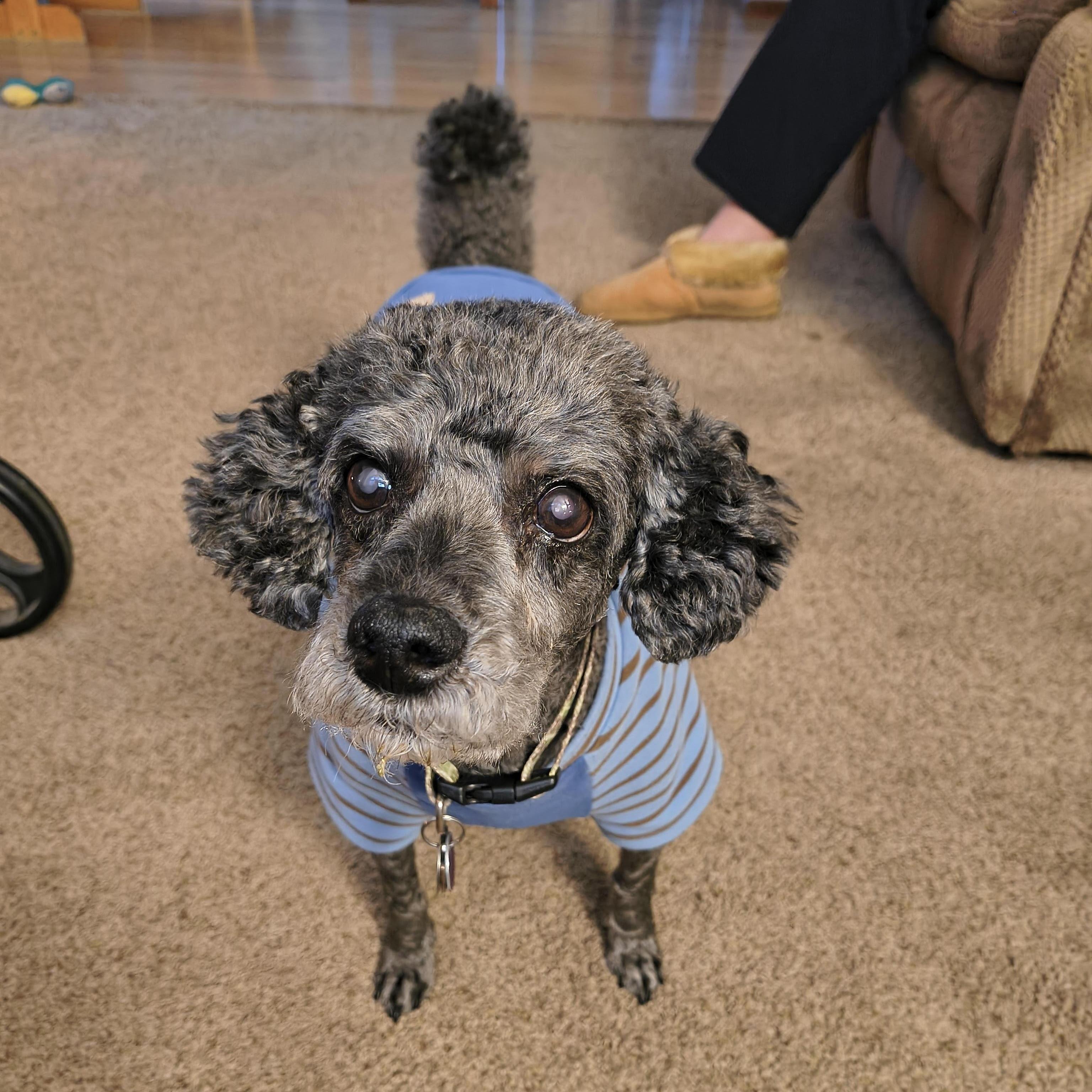 Pepper