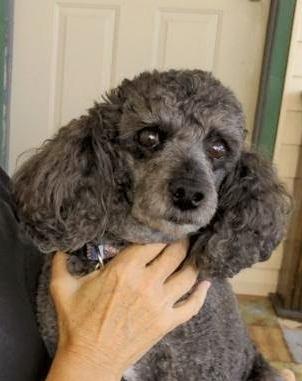 Pepper thumbnail 2