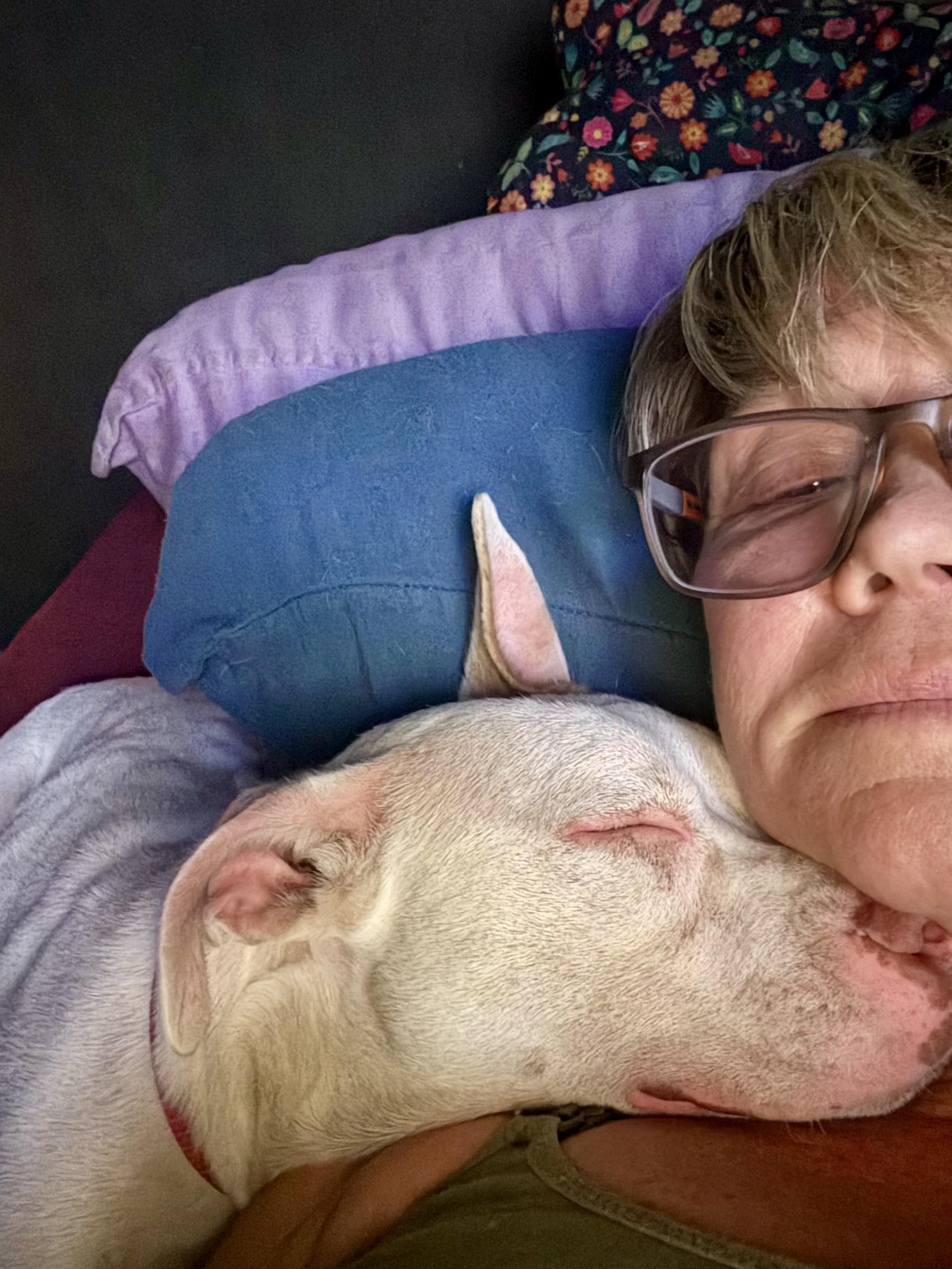 Enlarge Jillie!!!, a Adopted mixed breed in Manalapan, NJ image 5/6