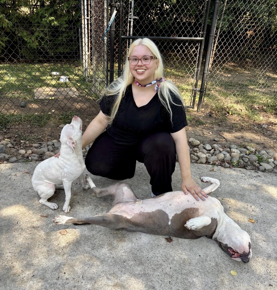 Enlarge Jillie!!!, a Adopted mixed breed in Manalapan, NJ image 4/6