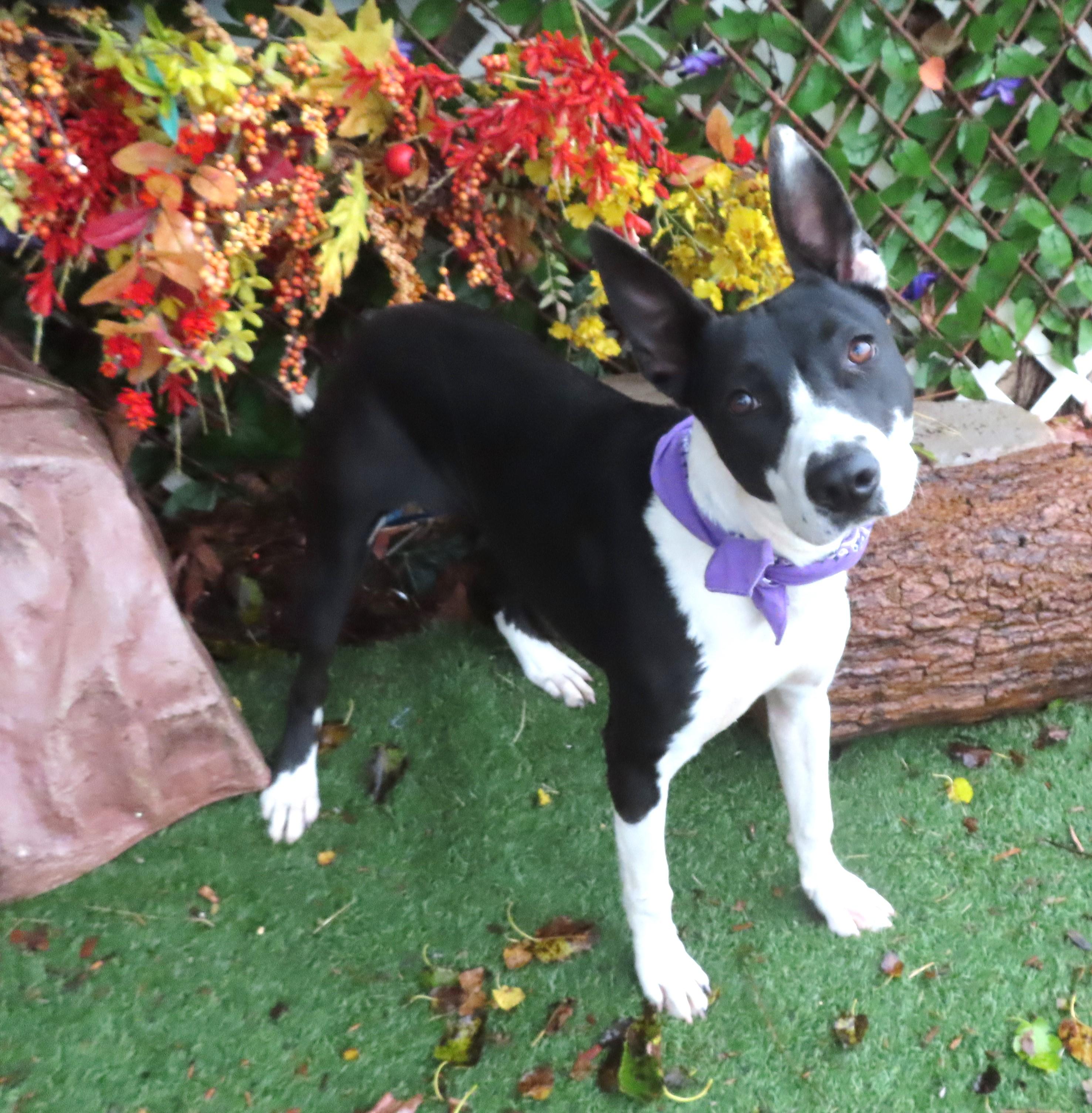 MISSY 464848 WatchMyFunVideos!Let'sPlay!