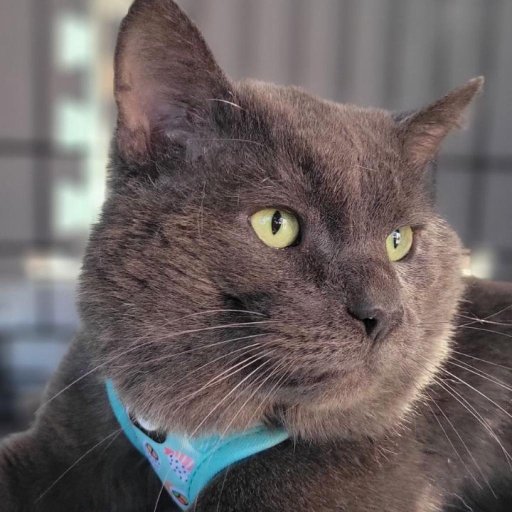 Piotr — thumbnail 2