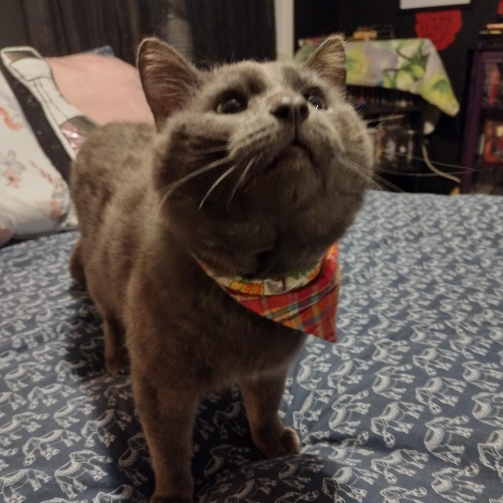 Piotr — thumbnail 3