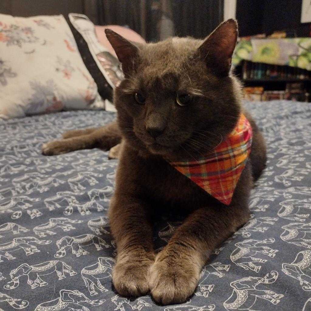 Piotr — thumbnail 4