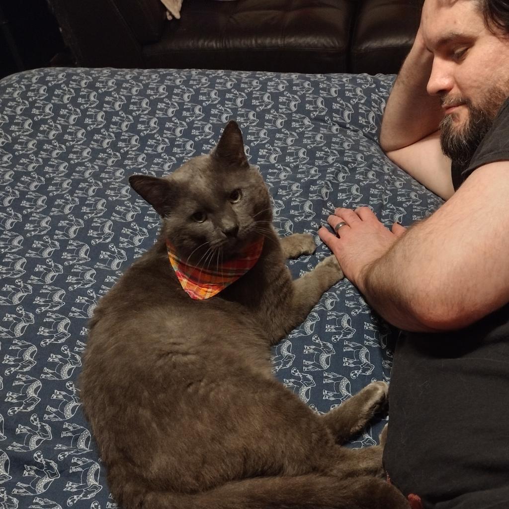 Piotr — thumbnail 6