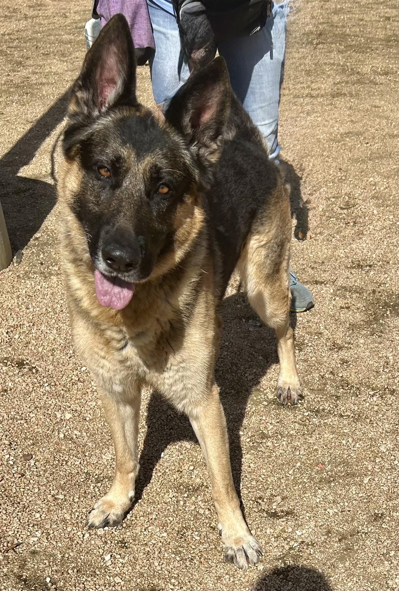 Jerry — thumbnail 2