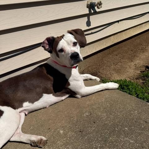 Georgia photo 4